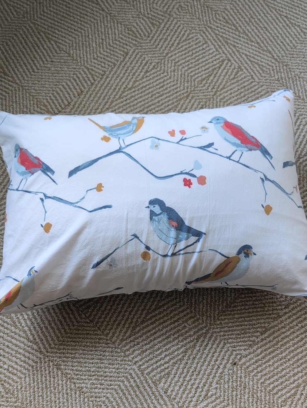 Garnet Hill Bluebird Organic-Cotton Percale Down Throw Accent Pillow Floral